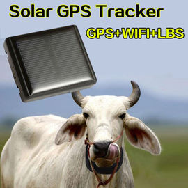 Mini Solar Animal Gps Tracker Gps Tracking Device Long Battery Life Sim Card