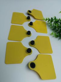 TPU Material Visual RFID Livestock Tags Two Sides Shape Barcode Animal Ear Tag For Cattle