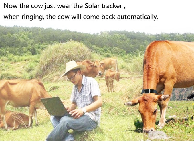 Mini Solar Animal Gps Tracker , Real Time Animal Tracking Device For Cattle Horse Camel