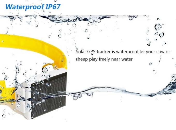 Mini Solar Animal Gps Tracker , Real Time Animal Tracking Device For Cattle Horse Camel