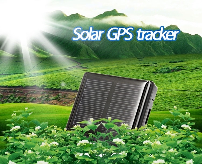 Mini Solar Animal Gps Tracker , Real Time Animal Tracking Device For Cattle Horse Camel