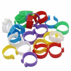 1.6cm Dove Birds Poultry Leg Rings Band clip rings Birds Tools Multi Color pigeon leg rings